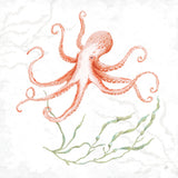 Delicate Sea V Red by Daphne Brissonnet. SKU 79311a. Archival Giclee Fine art print for wall decor.