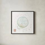 Delicate Sea VI by Daphne Brissonnet. Shown in a sleek black glass frame for a contemporary gallery look. Available as an archival giclee rolled canvas, fine art paper, or poster print. SKU 74696a.