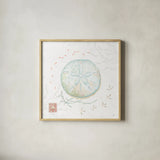 Delicate Sea VI by Daphne Brissonnet. Shown in a natural wood glass frame for a timeless modern aesthetic. Available as an archival giclee rolled canvas, fine art paper, or poster print. SKU 74696a.