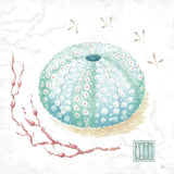 Delicate Sea VII by Daphne Brissonnet. SKU 74697a. Archival Giclee Fine art print for wall decor.