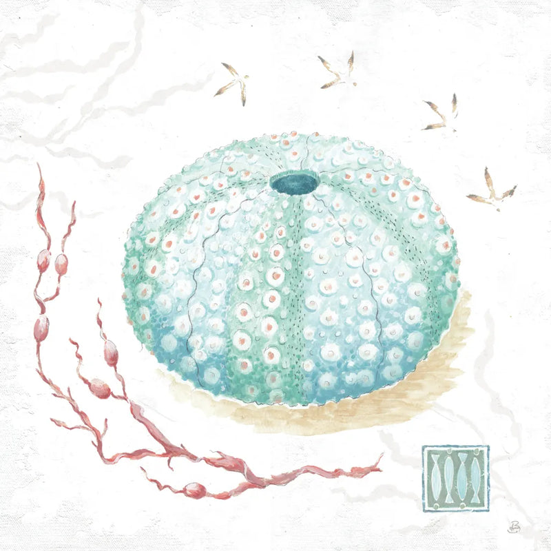 Delicate Sea VII by Daphne Brissonnet. SKU 74697a. Archival Giclee Fine art print for wall decor.
