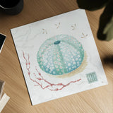 Delicate Sea VII by Daphne Brissonnet. Shown as a detailed flat fine art print, highlighting archival giclee quality. Available as an archival giclee rolled canvas, fine art paper, or poster print. SKU 74697a.