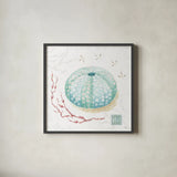 Delicate Sea VII by Daphne Brissonnet. Shown in a sleek black glass frame for a contemporary gallery look. Available as an archival giclee rolled canvas, fine art paper, or poster print. SKU 74697a.