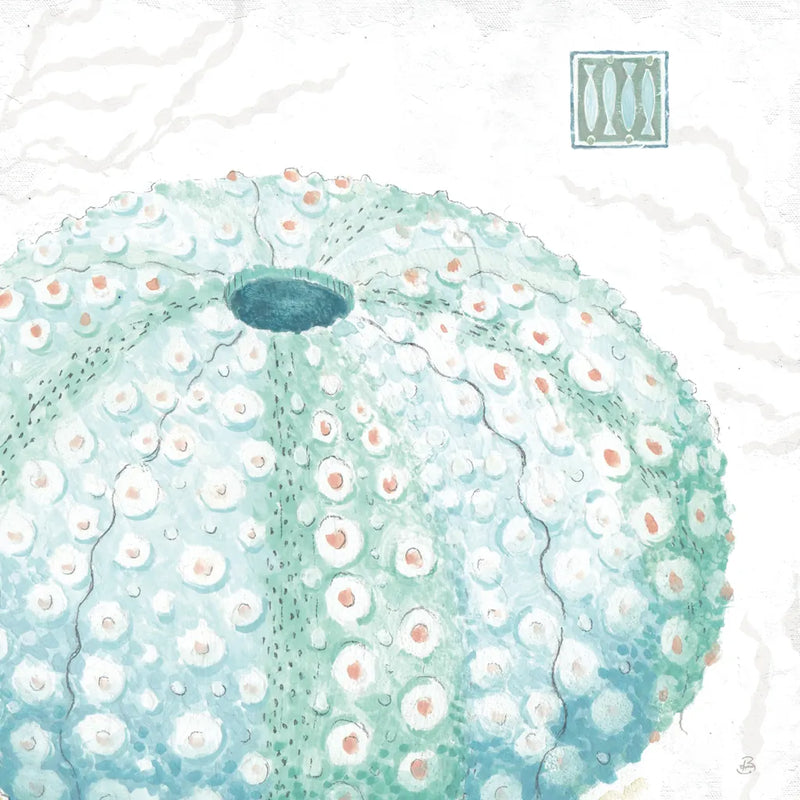 Delicate Sea VIII by Daphne Brissonnet. SKU 74698a. Archival Giclee Fine art print for wall decor.