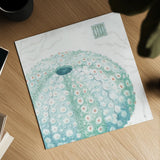 Delicate Sea VIII by Daphne Brissonnet. Shown as a detailed flat fine art print, highlighting archival giclee quality. Available as an archival giclee rolled canvas, fine art paper, or poster print. SKU 74698a.