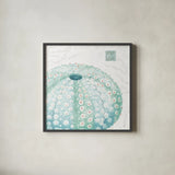 Delicate Sea VIII by Daphne Brissonnet. Shown in a sleek black glass frame for a contemporary gallery look. Available as an archival giclee rolled canvas, fine art paper, or poster print. SKU 74698a.