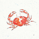 Maritime XI by Daphne Brissonnet. SKU 35209a. Archival Giclee Fine art print for wall decor.
