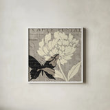 Natural Prints I by Daphne Brissonnet. Shown in a crisp white glass frame for a clean and minimalist style. Available as an archival giclee rolled canvas, fine art paper, or poster print. SKU 5783a.