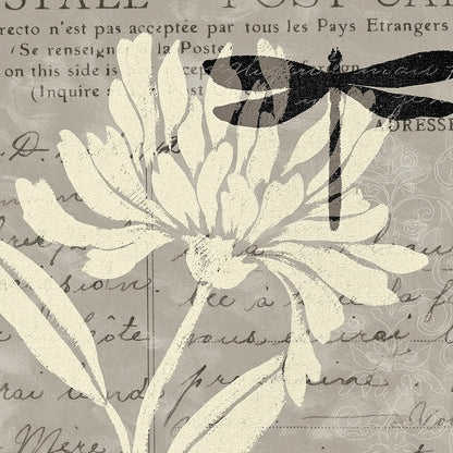 Natural Prints II by Daphne Brissonnet. SKU 5784a. Archival Giclee Fine art print for wall decor.