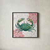 Ocean Finds V by Daphne Brissonnet. Shown in a sleek black glass frame for a contemporary gallery look. Available as an archival giclee rolled canvas, fine art paper, or poster print. SKU 64729a.