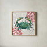Ocean Finds V by Daphne Brissonnet. Shown in a natural wood glass frame for a timeless modern aesthetic. Available as an archival giclee rolled canvas, fine art paper, or poster print. SKU 64729a.