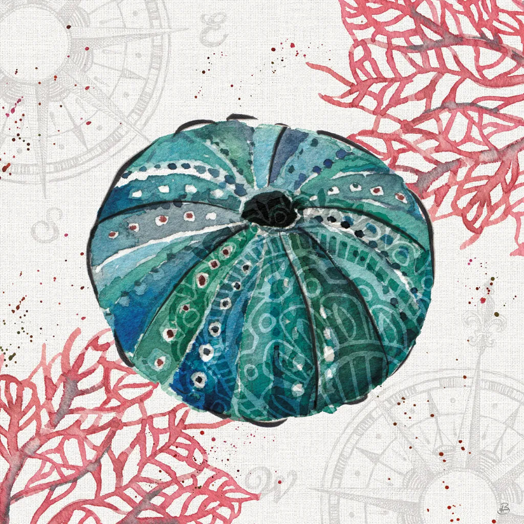 Ocean Finds VII by Daphne Brissonnet. SKU 64731a. Archival Giclee Fine art print for wall decor.