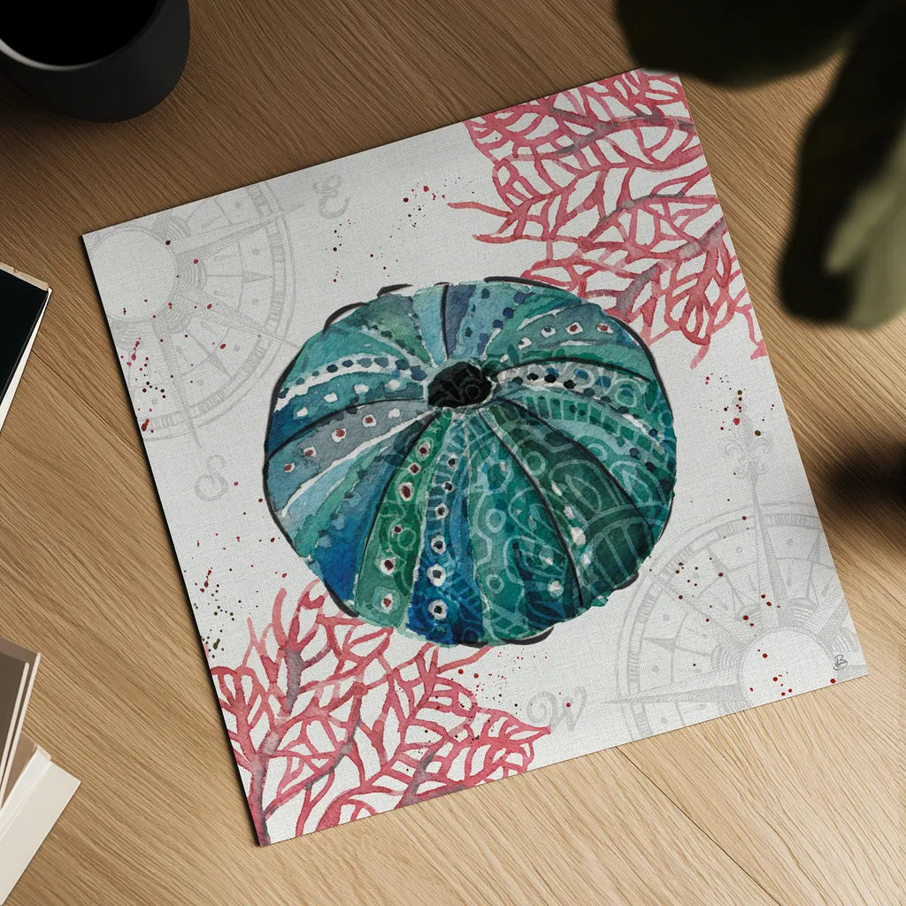 Ocean Finds VII by Daphne Brissonnet. Shown as a detailed flat fine art print, highlighting archival giclee quality. Available as an archival giclee rolled canvas, fine art paper, or poster print. SKU 64731a.