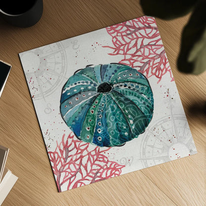 Ocean Finds VII by Daphne Brissonnet. Shown as a detailed flat fine art print, highlighting archival giclee quality. Available as an archival giclee rolled canvas, fine art paper, or poster print. SKU 64731a.