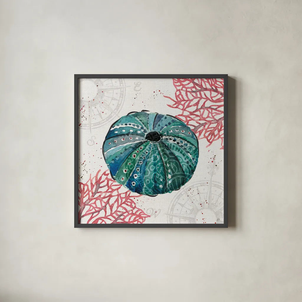 Ocean Finds VII by Daphne Brissonnet. Shown in a sleek black glass frame for a contemporary gallery look. Available as an archival giclee rolled canvas, fine art paper, or poster print. SKU 64731a.