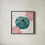 Ocean Finds VII by Daphne Brissonnet. Shown in a sleek black glass frame for a contemporary gallery look. Available as an archival giclee rolled canvas, fine art paper, or poster print. SKU 64731a.