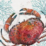 Ocean Finds VIII by Daphne Brissonnet. SKU 64732a. Archival Giclee Fine art print for wall decor.