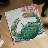 Ocean Finds XI by Daphne Brissonnet. Shown as a detailed flat fine art print, highlighting archival giclee quality. Available as an archival giclee rolled canvas, fine art paper, or poster print. SKU 64735a.