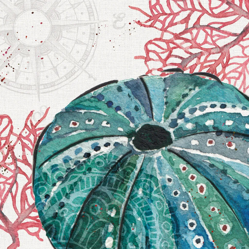 Ocean Finds XIII by Daphne Brissonnet. SKU 64737a. Archival Giclee Fine art print for wall decor.