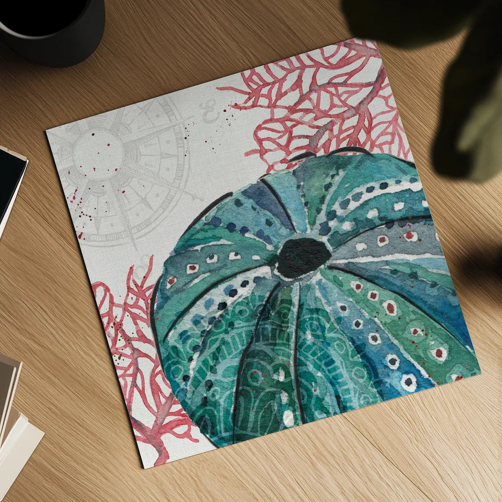 Ocean Finds XIII by Daphne Brissonnet. Shown as a detailed flat fine art print, highlighting archival giclee quality. Available as an archival giclee rolled canvas, fine art paper, or poster print. SKU 64737a.