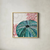 Ocean Finds XIII by Daphne Brissonnet. Shown in a natural wood glass frame for a timeless modern aesthetic. Available as an archival giclee rolled canvas, fine art paper, or poster print. SKU 64737a.
