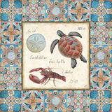 Oceanography Framed II by Daphne Brissonnet. SKU 105001a. Archival Giclee Fine art print for wall decor.