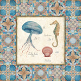 Oceanography Framed III by Daphne Brissonnet. SKU 105002a. Archival Giclee Fine art print for wall decor.
