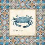 Oceanography Framed VIII by Daphne Brissonnet. SKU 67101a. Archival Giclee Fine art print for wall decor.
