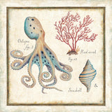 Oceanography I by Daphne Brissonnet. SKU 14041a. Archival Giclee Fine art print for wall decor.