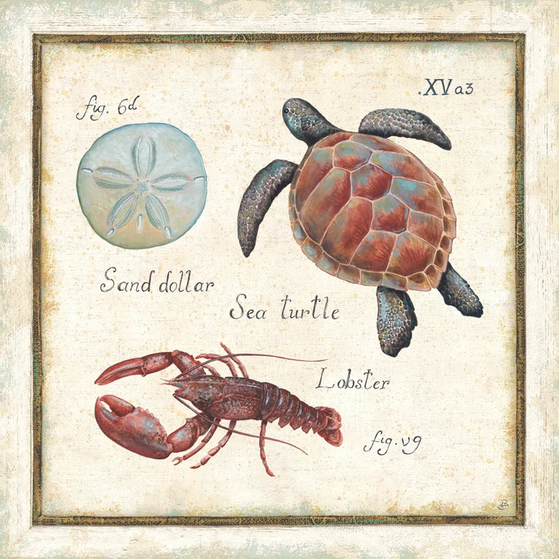 Oceanography II by Daphne Brissonnet. SKU 14042a. Archival Giclee Fine art print for wall decor.
