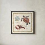 Oceanography II by Daphne Brissonnet. Shown in a sleek black glass frame for a contemporary gallery look. Available as an archival giclee rolled canvas, fine art paper, or poster print. SKU 14042a.
