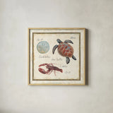 Oceanography II by Daphne Brissonnet. Shown in a natural wood glass frame for a timeless modern aesthetic. Available as an archival giclee rolled canvas, fine art paper, or poster print. SKU 14042a.