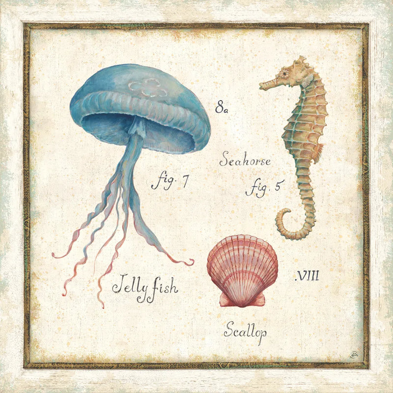 Oceanography III by Daphne Brissonnet. SKU 14043a. Archival Giclee Fine art print for wall decor.