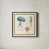 Oceanography III by Daphne Brissonnet. Shown in a sleek black glass frame for a contemporary gallery look. Available as an archival giclee rolled canvas, fine art paper, or poster print. SKU 14043a.