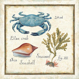 Oceanography IV by Daphne Brissonnet. SKU 14044a. Archival Giclee Fine art print for wall decor.