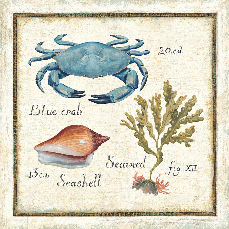 Oceanography IV by Daphne Brissonnet. SKU 14044a. Archival Giclee Fine art print for wall decor.