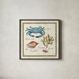 Oceanography IV by Daphne Brissonnet. Shown in a sleek black glass frame for a contemporary gallery look. Available as an archival giclee rolled canvas, fine art paper, or poster print. SKU 14044a.