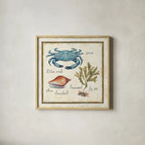 Oceanography IV by Daphne Brissonnet. Shown in a natural wood glass frame for a timeless modern aesthetic. Available as an archival giclee rolled canvas, fine art paper, or poster print. SKU 14044a.