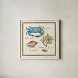 Oceanography IV by Daphne Brissonnet. Shown in a crisp white glass frame for a clean and minimalist style. Available as an archival giclee rolled canvas, fine art paper, or poster print. SKU 14044a.