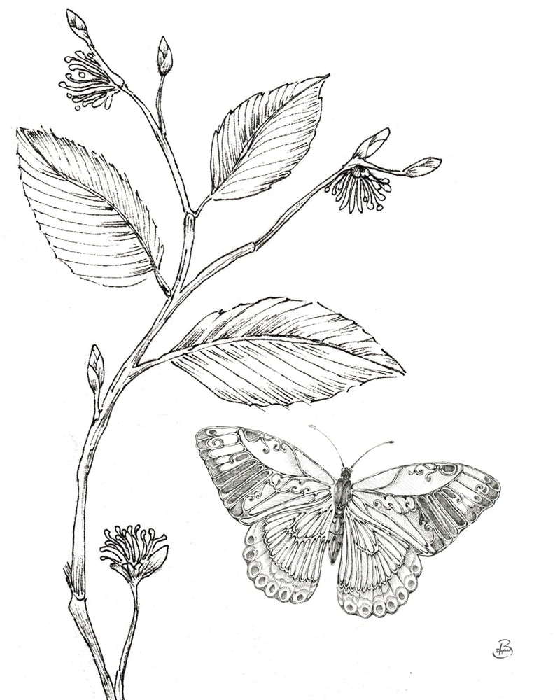 Outdoor Beauties Butterfly I by Daphne Brissonnet