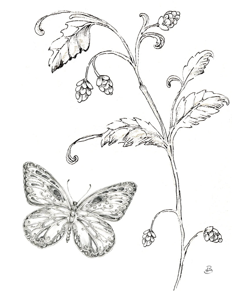 Outdoor Beauties Butterfly II by Daphne Brissonnet