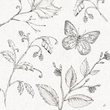 Outdoor Beauties II by Daphne Brissonnet. SKU 101076a. Archival Giclee Fine art print for wall decor.