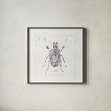 Outdoor Beauties IX by Daphne Brissonnet. Shown in a sleek black glass frame for a contemporary gallery look. Available as an archival giclee rolled canvas, fine art paper, or poster print. SKU 41731a.
