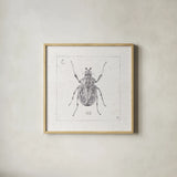Outdoor Beauties IX by Daphne Brissonnet. Shown in a natural wood glass frame for a timeless modern aesthetic. Available as an archival giclee rolled canvas, fine art paper, or poster print. SKU 41731a.