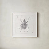 Outdoor Beauties IX by Daphne Brissonnet. Shown in a crisp white glass frame for a clean and minimalist style. Available as an archival giclee rolled canvas, fine art paper, or poster print. SKU 41731a.