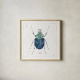 Outdoor Beauties IX Color by Daphne Brissonnet. Shown in a natural wood glass frame for a timeless modern aesthetic. Available as an archival giclee rolled canvas, fine art paper, or poster print. SKU 54841a.