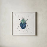 Outdoor Beauties IX Color by Daphne Brissonnet. Shown in a crisp white glass frame for a clean and minimalist style. Available as an archival giclee rolled canvas, fine art paper, or poster print. SKU 54841a.