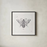Outdoor Beauties VII by Daphne Brissonnet. Shown in a sleek black glass frame for a contemporary gallery look. Available as an archival giclee rolled canvas, fine art paper, or poster print. SKU 41734a.