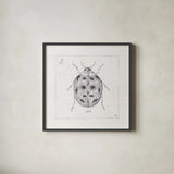 Outdoor Beauties VIII by Daphne Brissonnet. Shown in a sleek black glass frame for a contemporary gallery look. Available as an archival giclee rolled canvas, fine art paper, or poster print. SKU 41735a.