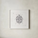 Outdoor Beauties VIII by Daphne Brissonnet. Shown in a crisp white glass frame for a clean and minimalist style. Available as an archival giclee rolled canvas, fine art paper, or poster print. SKU 41735a.